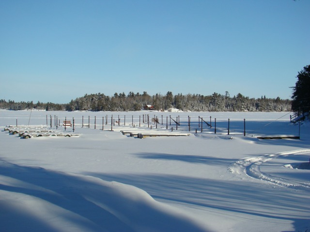 Snowy around the docks